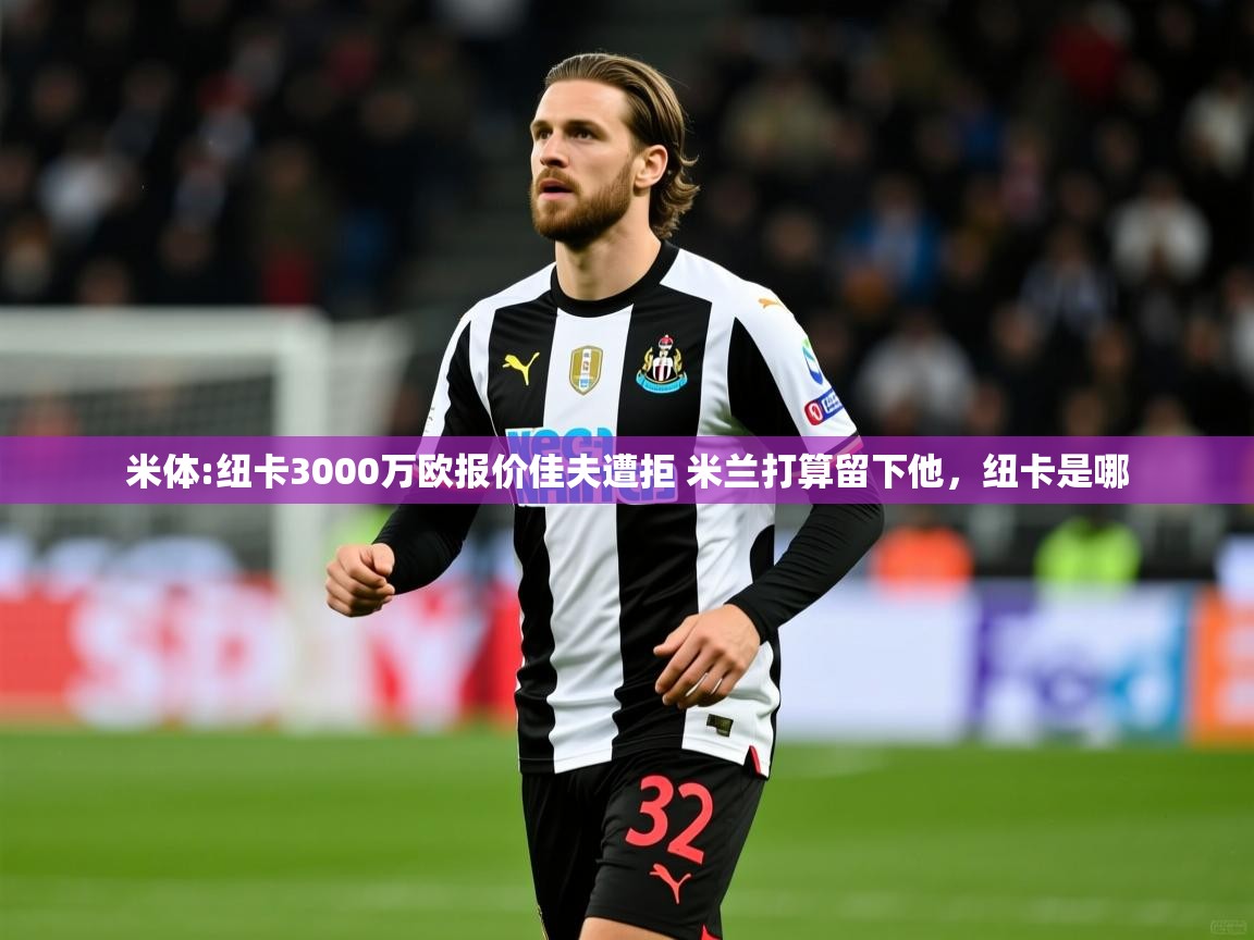 2025爱游戏官方网站入口登录米体:纽卡3000万欧报价佳夫遭拒 米兰打算留下他,纽卡是哪 第2张